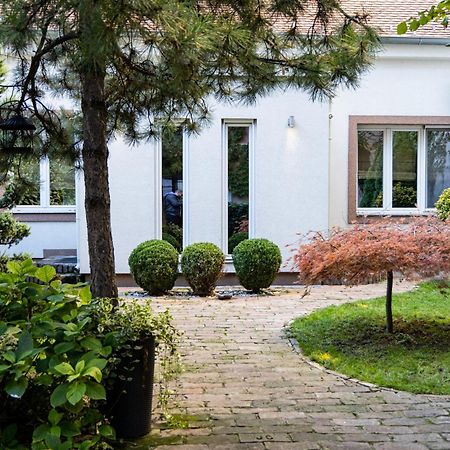 Green And Blue Garden Apartments 베오그라드 외부 사진
